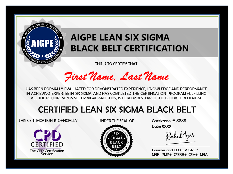 Black Belt Certification - AIGPE