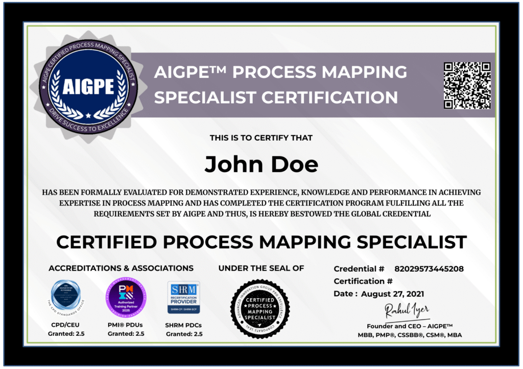 Process Mapping Specialist