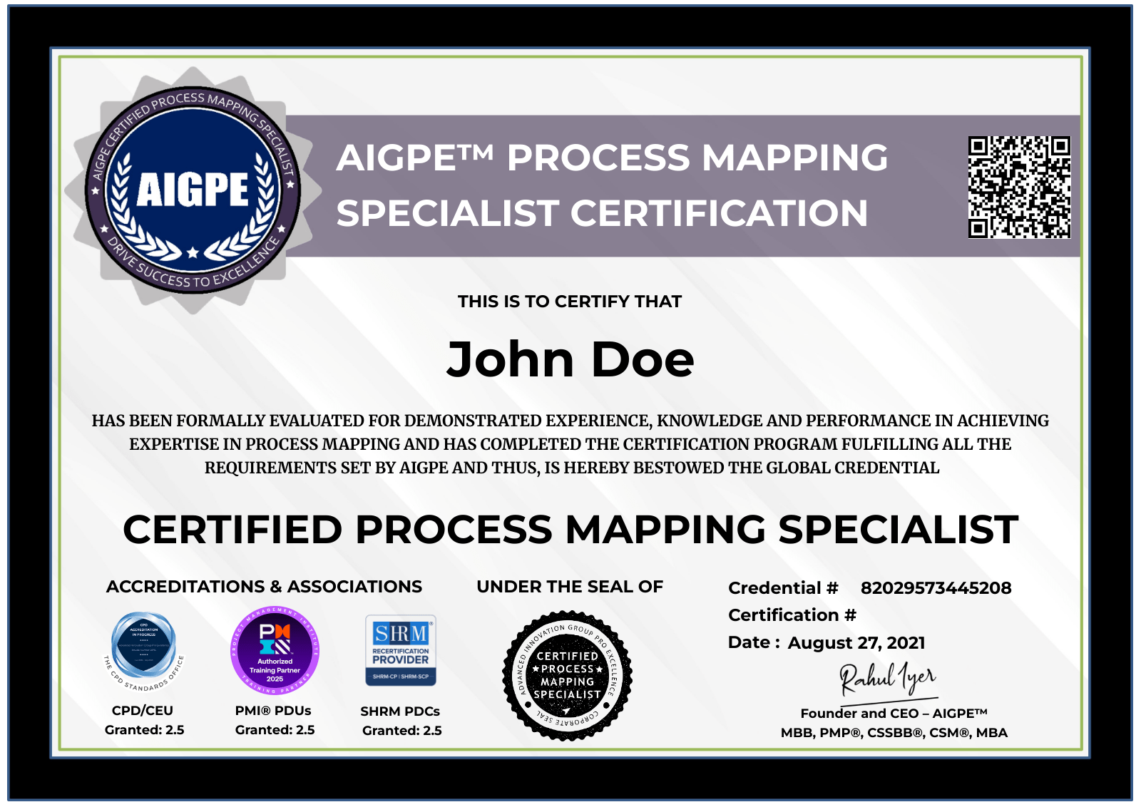 Process Mapping Specialist
